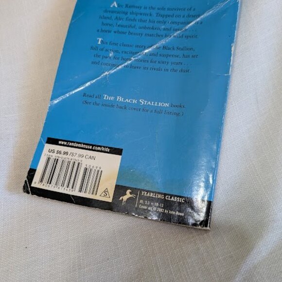 The Black Stallion, The Island Stallion, Learn to Draw Horses and Ponies - Picture 5 of 10